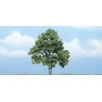 Biztonságos fizetés Woodlands TR1615 Bükkfa, 10 cm