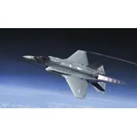 Italeri 2506 F-35A LIGHTNING II 1 32 Expressz szállítás