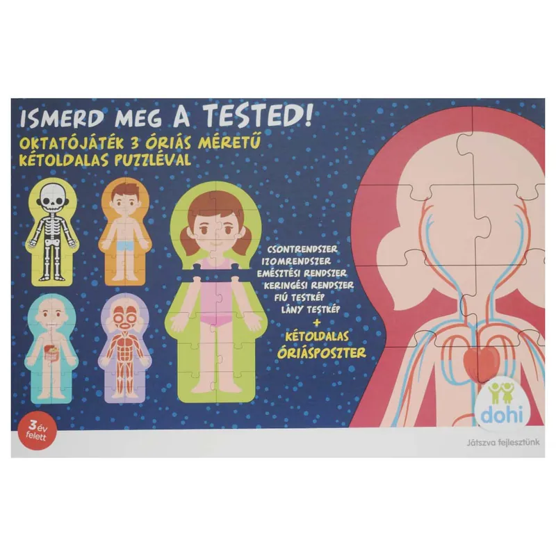 Ismerd meg a tested oktatójáték - D-Toys Legkelendőbb