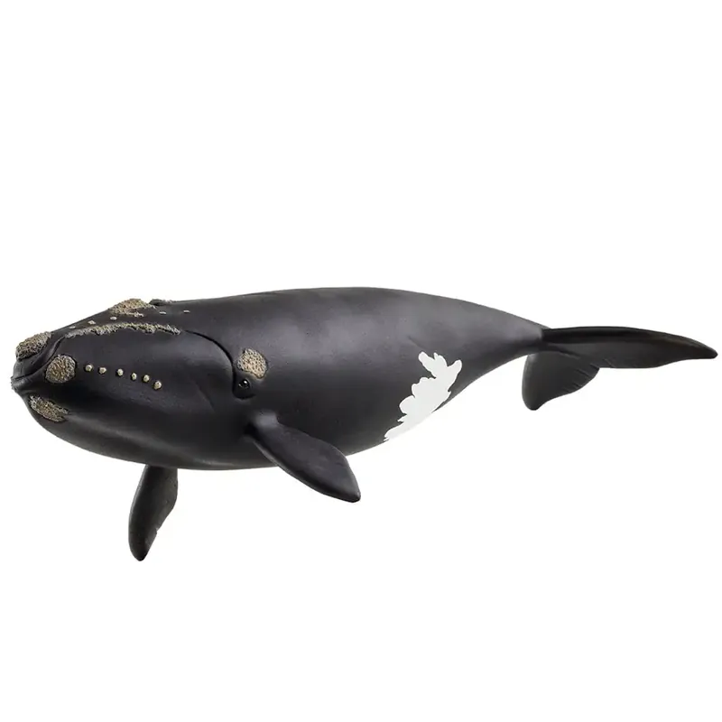 Schleich Észak-atlanti bálna figura (14878) Legkelendőbb