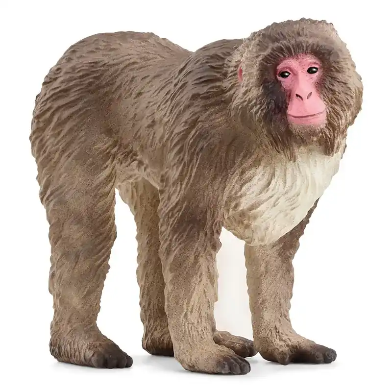 Korlátozott ajánlat Schleich Japán makákó figura (14871)