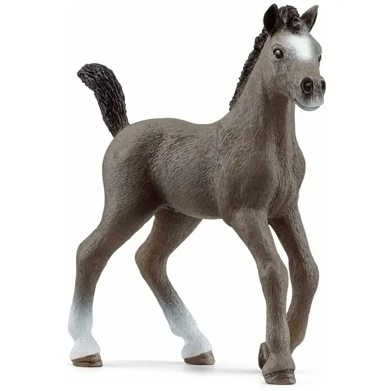 Nézd meg most Schleich Cheval de Selle csikó figura (13957)