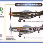 Kedvezmény Hobby Boss P-51D Mustang IV Fighter makett