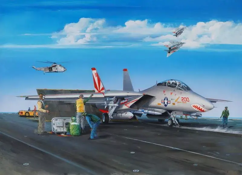 Trumpeter F-14A Tomcat repülőgép makett Vásárlói kedvenc