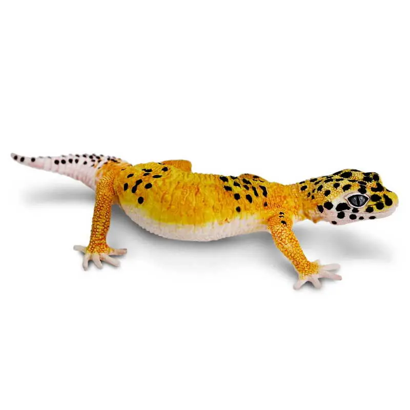 Safari Gekko leopárd (006679 SAF) Kedvezményes ár