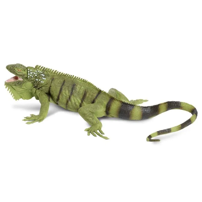 Safari Leguan zöld (267704 SAF) Szezonális akció