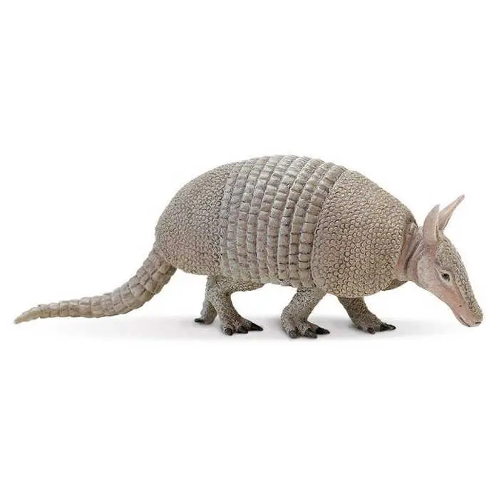 Safari Tatu (262808 SAF) Biztonságos vásárlás