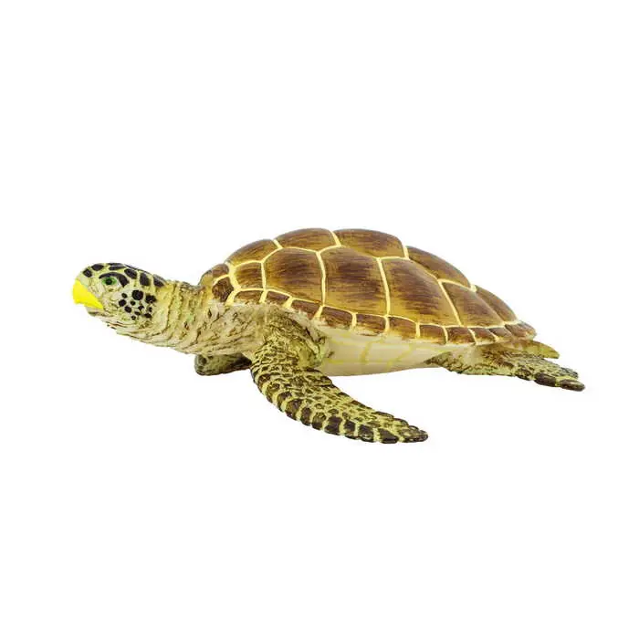 Biztonságos fizetés Safari Teknősbéka Arany/barna (220204 SAF)
