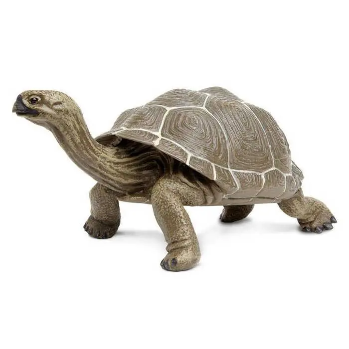 Safari Teknősbéka Galapagos (260729 SAF) Végkiárusítás