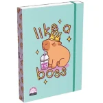 Végkiárusítás ICO Lizzysuli Lollipop Capybara mintás füzetbox A/4