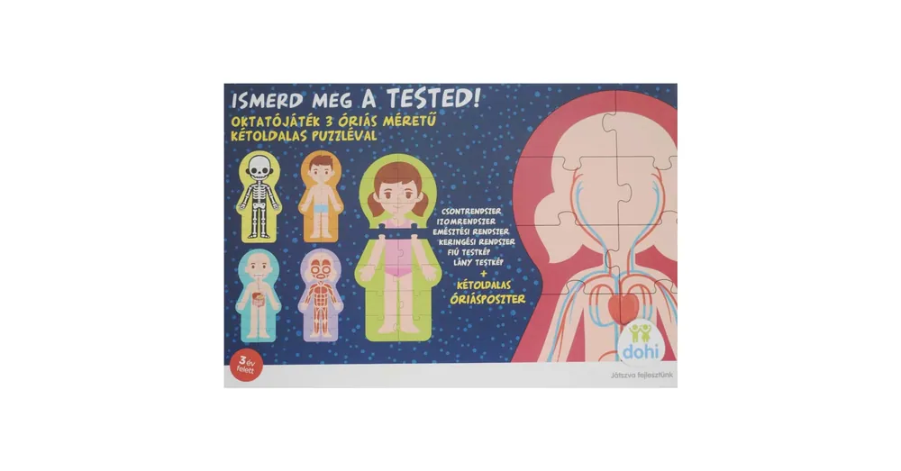 Ismerd meg a tested oktatójáték – D-Toys Olcsóbb