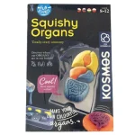 Fun Science – Squishy Organs játékszett -Piatnik Árcsökkenés