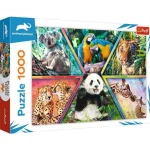 Alacsony ár Animal Planet Állati királyságok 1000 db-os puzzle – Trefl