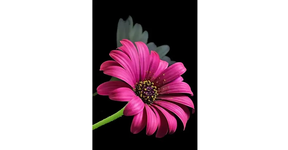Azonnal elérhető Gyémántszemes kirakó Gerbera gyémántfestő szett 10×15 cm
