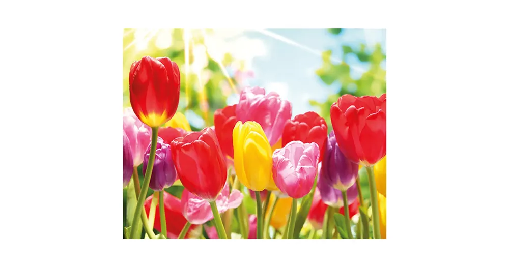 Gyémántszemes kirakó Tulipánok gyémántfestő szett 40×50 cm Árengedmény