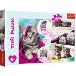 Alacsony ár Cuki cicák puzzle 160 db-os – Trefl