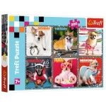 Vidám kutyusok 200 db-os puzzle – Trefl Expressz kézbesítés