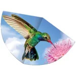Népszerű Kolibri sárkányrepülő