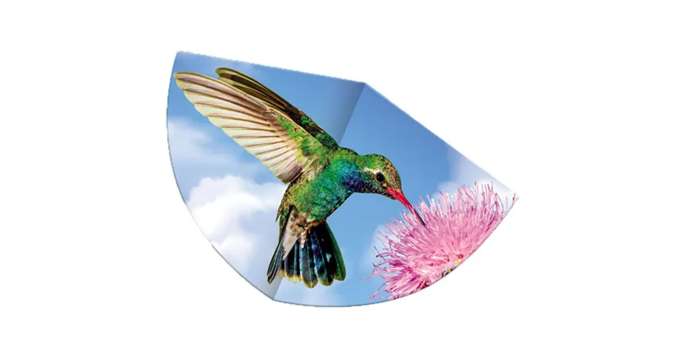 Népszerű Kolibri sárkányrepülő