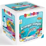 Brainbox A tenger mélyén Kedvezmény